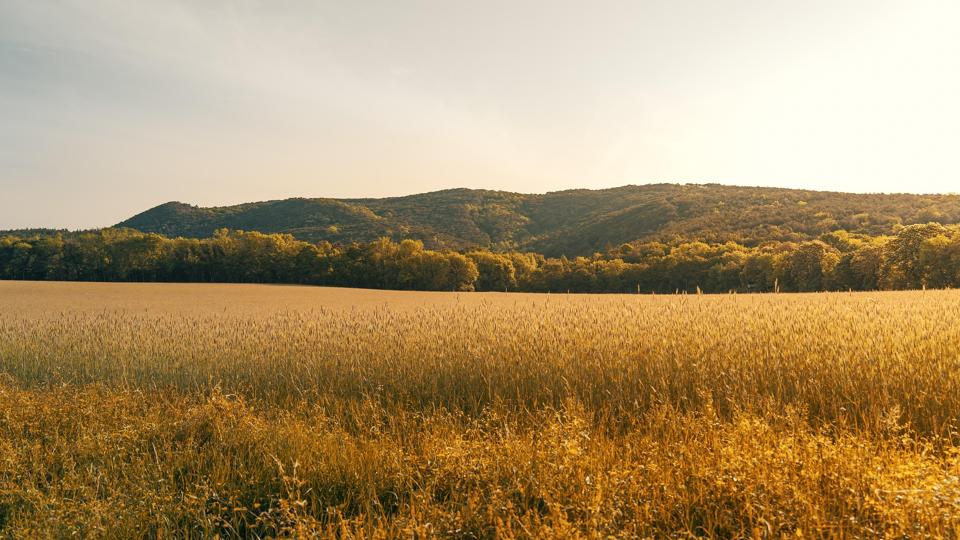 die besten freizeitaktivitaeten in krumpendorf am woerthersee entdecken