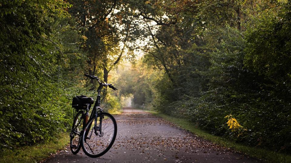 die besten freizeitaktivitaeten in mattsee entdecken sie den perfekten ausblick