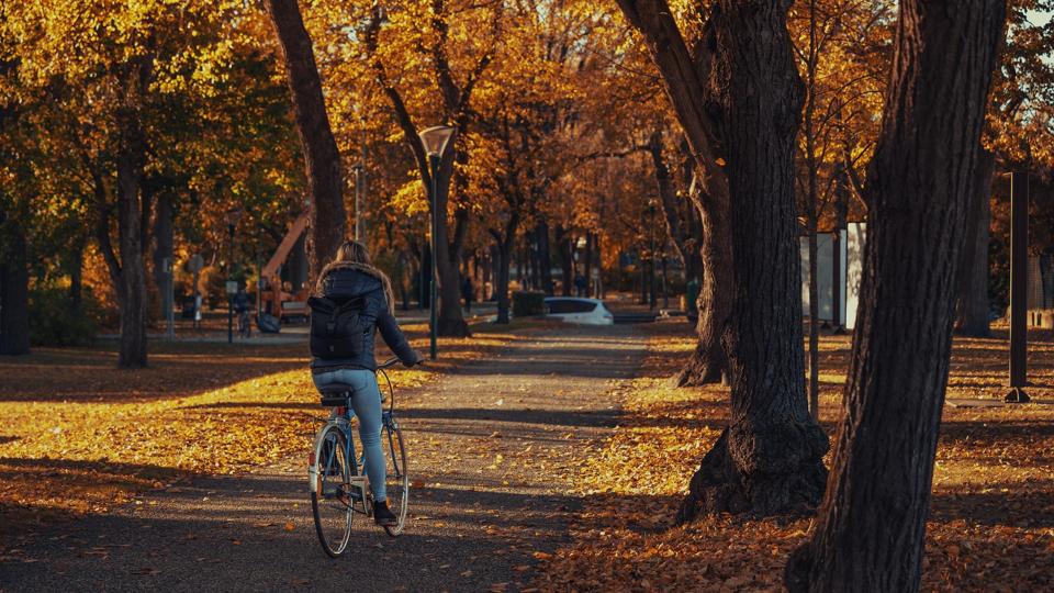 die besten freizeitaktivitaeten in steyr entdeckungsreise durch die charmante stadt